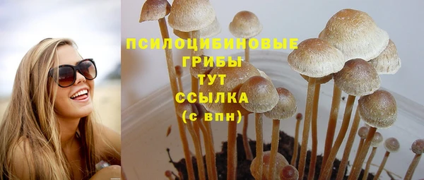 экстази Абаза
