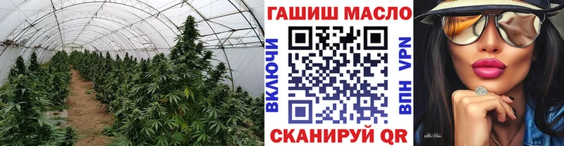 MEGA как войти  Нефтеюганск  ТГК концентрат 