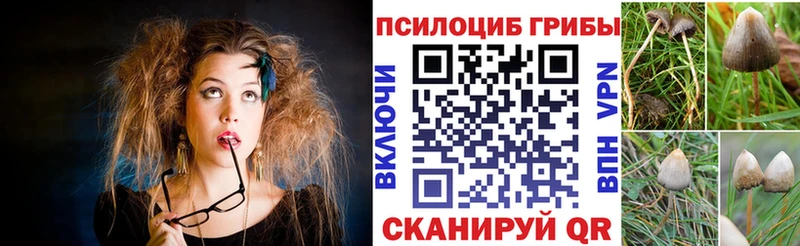 Псилоцибиновые грибы Psilocybine cubensis  Нефтеюганск 